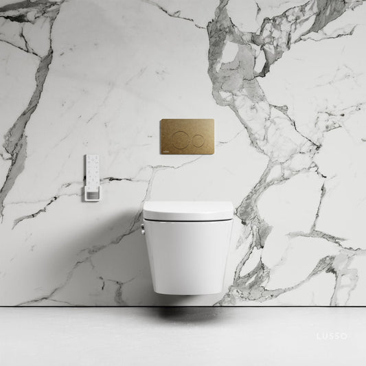 Intellismart Wall Hung Rimless Bidet Toilet with Concealed Cistern Frame and Round Flush Plate