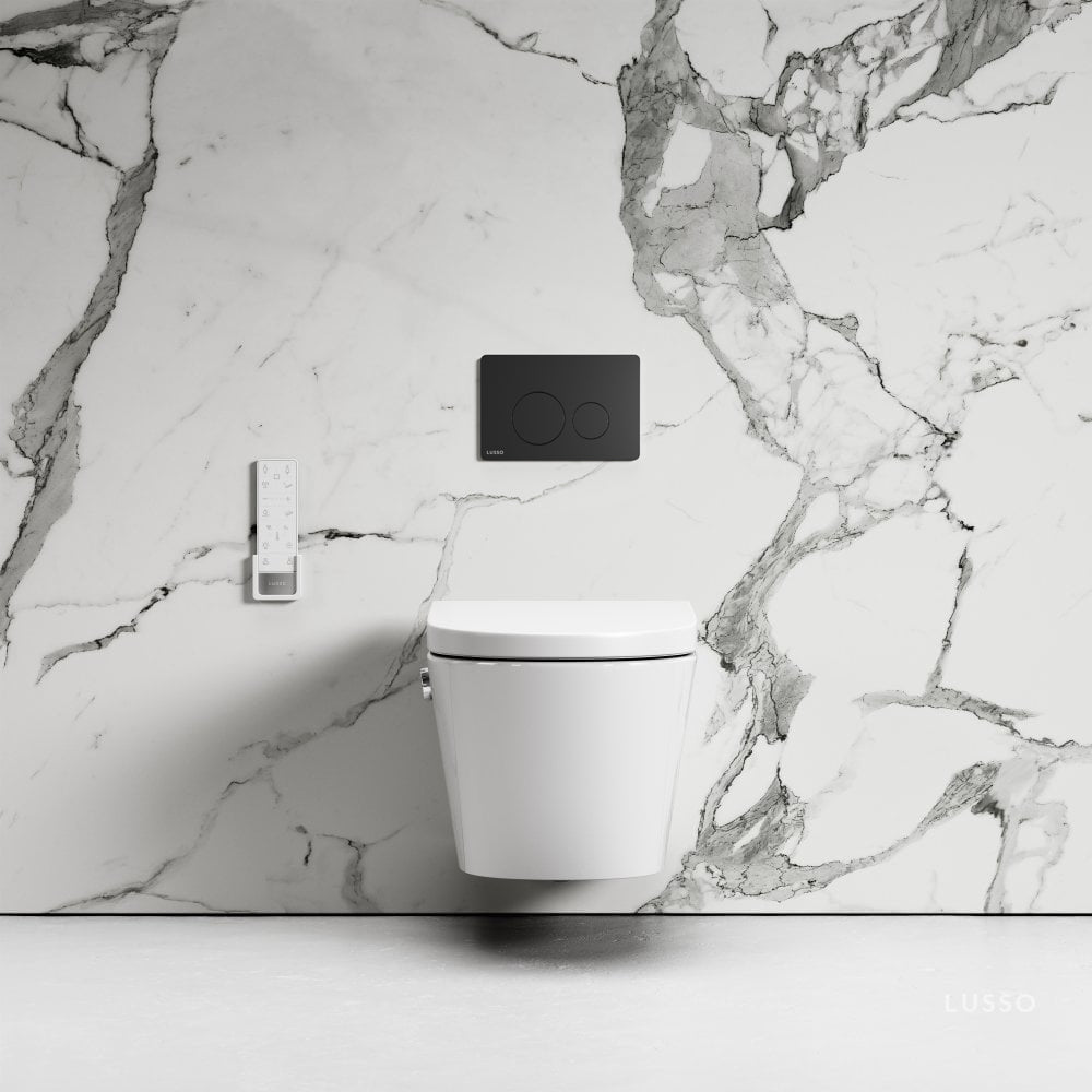 Intellismart Wall Hung Rimless Bidet Toilet with Concealed Cistern Frame and Round Flush Plate