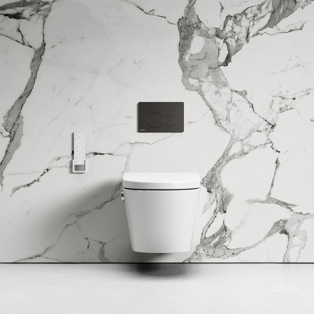 Intellismart Wall Hung Rimless Bidet Toilet with Concealed Cistern Frame and Round Flush Plate