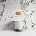 Intellismart Wall Hung Rimless Bidet Toilet with Concealed Cistern Frame and Round Flush Plate