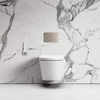 Intellismart Wall Hung Rimless Bidet Toilet with Concealed Cistern Frame and Round Flush Plate