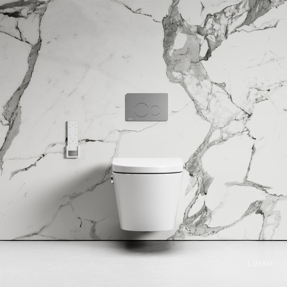 Intellismart Wall Hung Rimless Bidet Toilet with Concealed Cistern Frame and Round Flush Plate