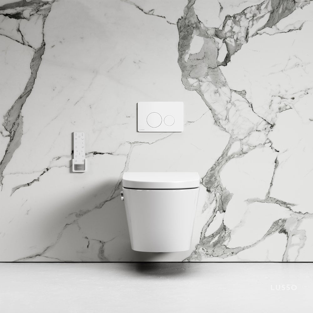 Intellismart Wall Hung Rimless Bidet Toilet with Concealed Cistern Frame and Round Flush Plate
