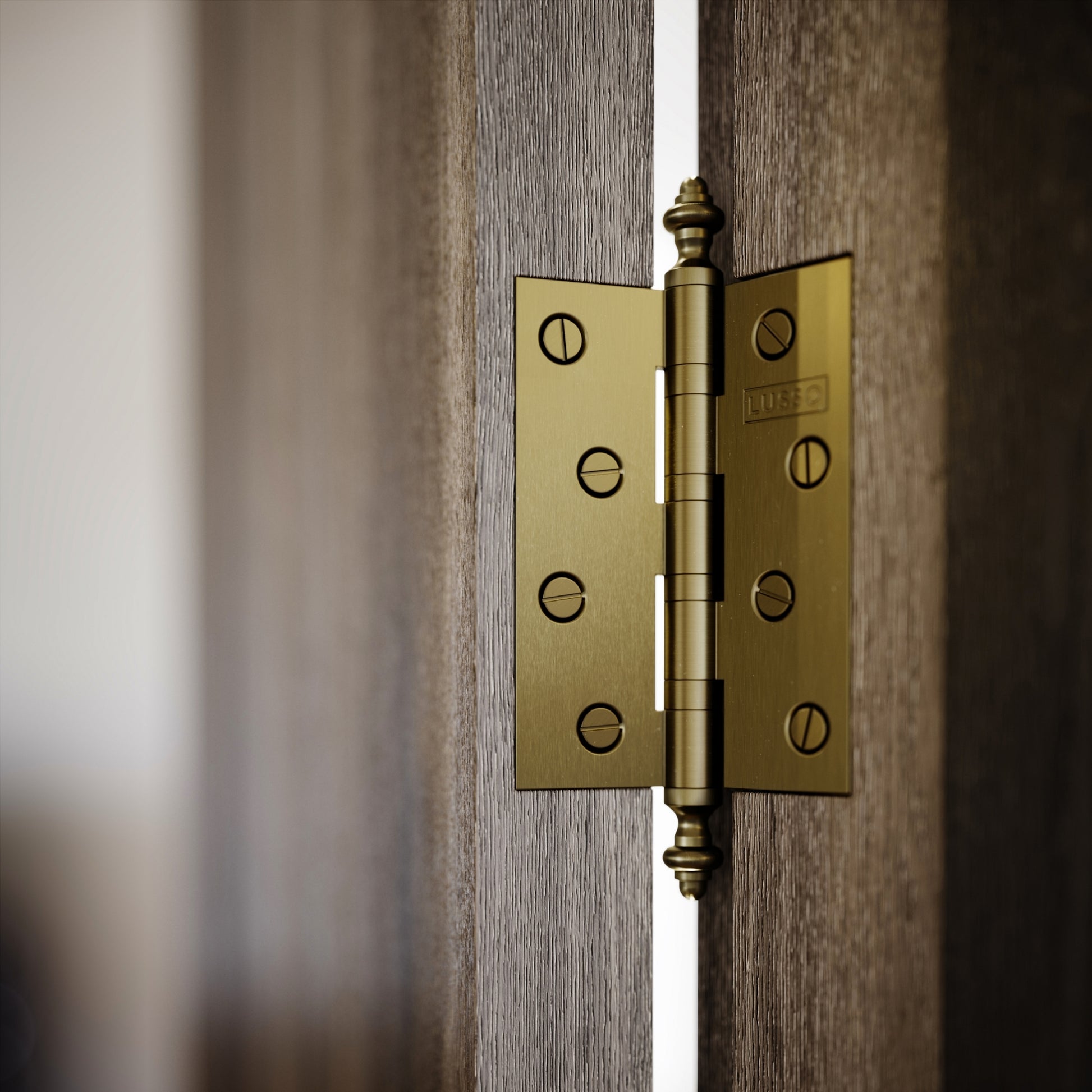 Aston Brushed Gold Hinges