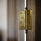 Aston Brushed Gold Hinges