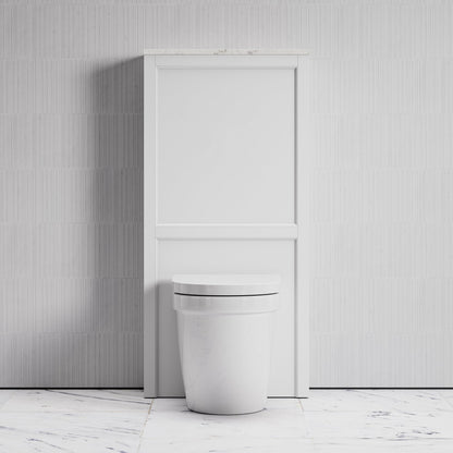 Berkeley Back to Wall Toilet and Matte White Claridge Housing