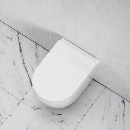 Berkeley Traditional Back To Wall Rimless Toilet & Soft Close Seat