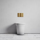 Berkeley Traditional Back to Wall Rimless Toilet with Concealed Cistern and Brushed Gold Flush Plate