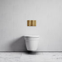 Berkeley Traditional Wall Hung Rimless Toilet with Concealed Cistern Frame and Brushed Gold Flush Plate