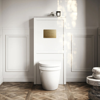 Berkeley Traditional Back to Wall Rimless Toilet with Concealed Cistern, Matte White Claridge Housing and Round Flush Plate