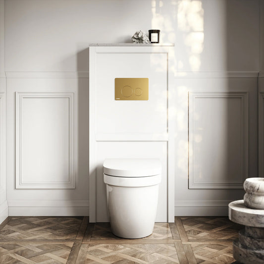 Berkeley Traditional Back to Wall Rimless Toilet with Concealed Cistern, Matte White Claridge Housing and Round Flush Plate