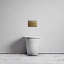 Berkeley Traditional Back to Wall Rimless Toilet with Concealed Cistern and Square Flush Plate