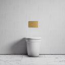 Berkeley Traditional Back to Wall Rimless Toilet with Concealed Cistern and Round Flush Plate