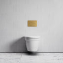 Berkeley Traditional Wall Hung Rimless Toilet with Concealed Cistern Frame and Round Flush Plate