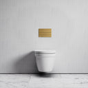 Berkeley Traditional Wall Hung Rimless Toilet with Concealed Cistern Frame and Square Flush Plate