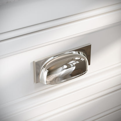 Brook Polished Nickel Cup Handle