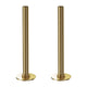 Brushed Gold Radiator Pipe Extension Kit 180mm