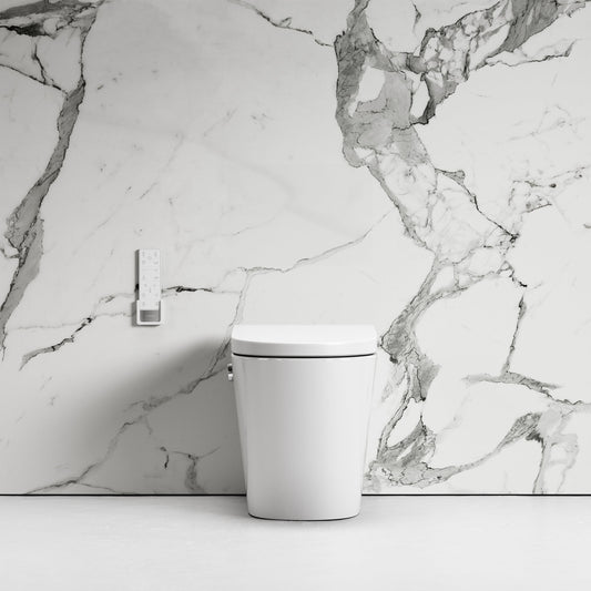 Intellismart Back To Wall Rimless Toilet Bidet & Soft Close Seat