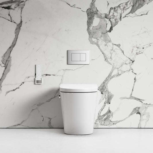 Intellismart Back To Wall Rimless Toilet Bidet Concealed Cistern and Polished Nickel Flush Plate