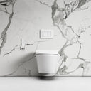 Intellismart Wall Hung Rimless Bidet Toilet with Concealed Cistern Frame and Matte White Flush Plate