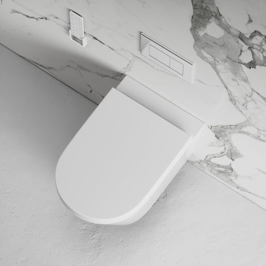 Intellismart Wall Hung Rimless Toilet Bidet Concealed Cistern Frame and Polished Nickel Flush Plate