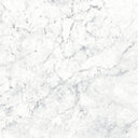 Massa Bianco Carrara Marble Porcelain Wall or Floor Tile 600 x 600mm