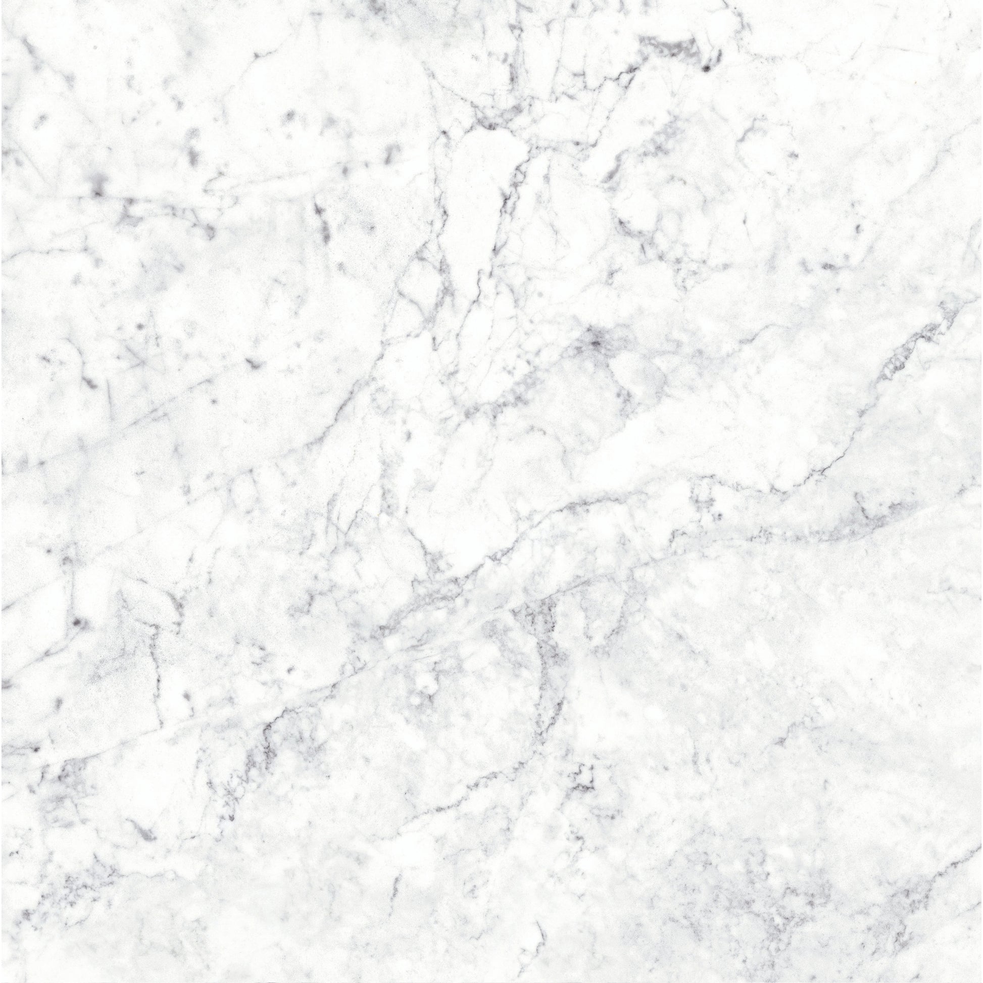 Massa Bianco Carrara Marble Porcelain Wall or Floor Tile 600 x 600mm