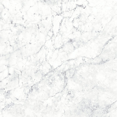 Massa Bianco Carrara Marble Porcelain Wall or Floor Tile 600 x 600mm