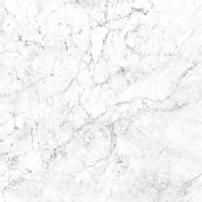 Massa Bianco Carrara Marble Porcelain Wall or Floor Tile 600 x 600mm