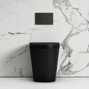 Nera Matte Black Back To Wall Toilet With Concealed Cistern Frame And Square Flush Plate