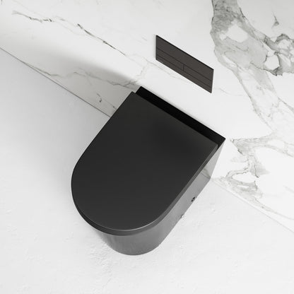 Nera Matte Black Back To Wall Toilet With Concealed Cistern Frame And Square Flush Plate