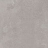 Porcini Grigio Natural Stone Porcelain Sample