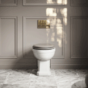 Portland Back to Wall Traditional Toilet & Solid Oak Seat with Rectangle Flush Plate