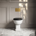 Portland Back To Wall Traditional Toilet with Solid Oak Matte Black Seat, Concealed Cistern and Square Flush Plate