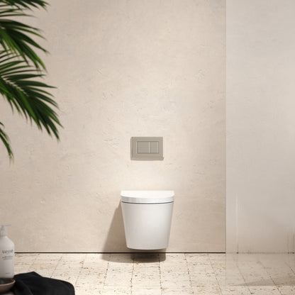 Senza Wall Hung Rimless Matte Toilet Concealed Cistern Frame and Polished Nickel Flush Plate