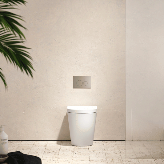 Senza Back To Wall Rimless Toilet with Concealed Cistern and Round Flush Plate