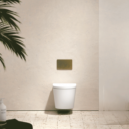 Senza Wall Hung Rimless Toilet with Concealed Cistern Frame and Round Flush Plate