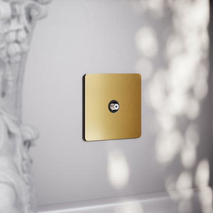 SlimTech Collection Brushed Gold Satellite Socket