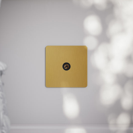 SlimTech Collection Brushed Gold TV Aerial Socket