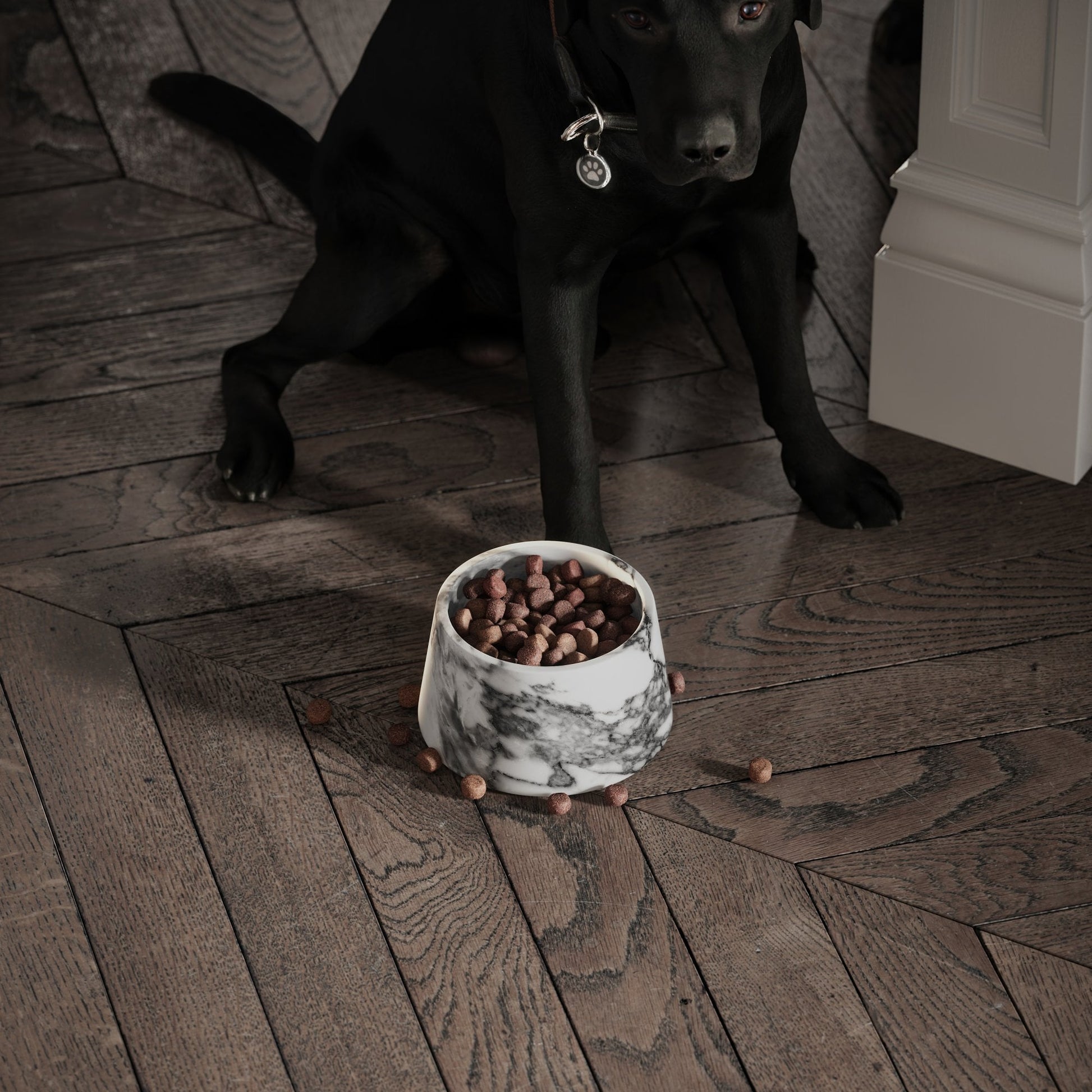 Vasoni Arabescato Marble Dog Bowl