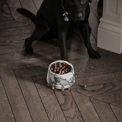 Vasoni Arabescato Marble Dog Bowl
