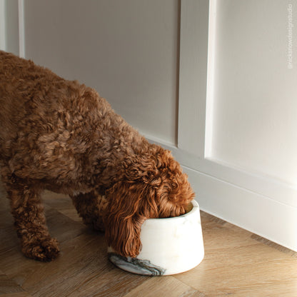 Vasoni Arabescato Marble Dog Bowl