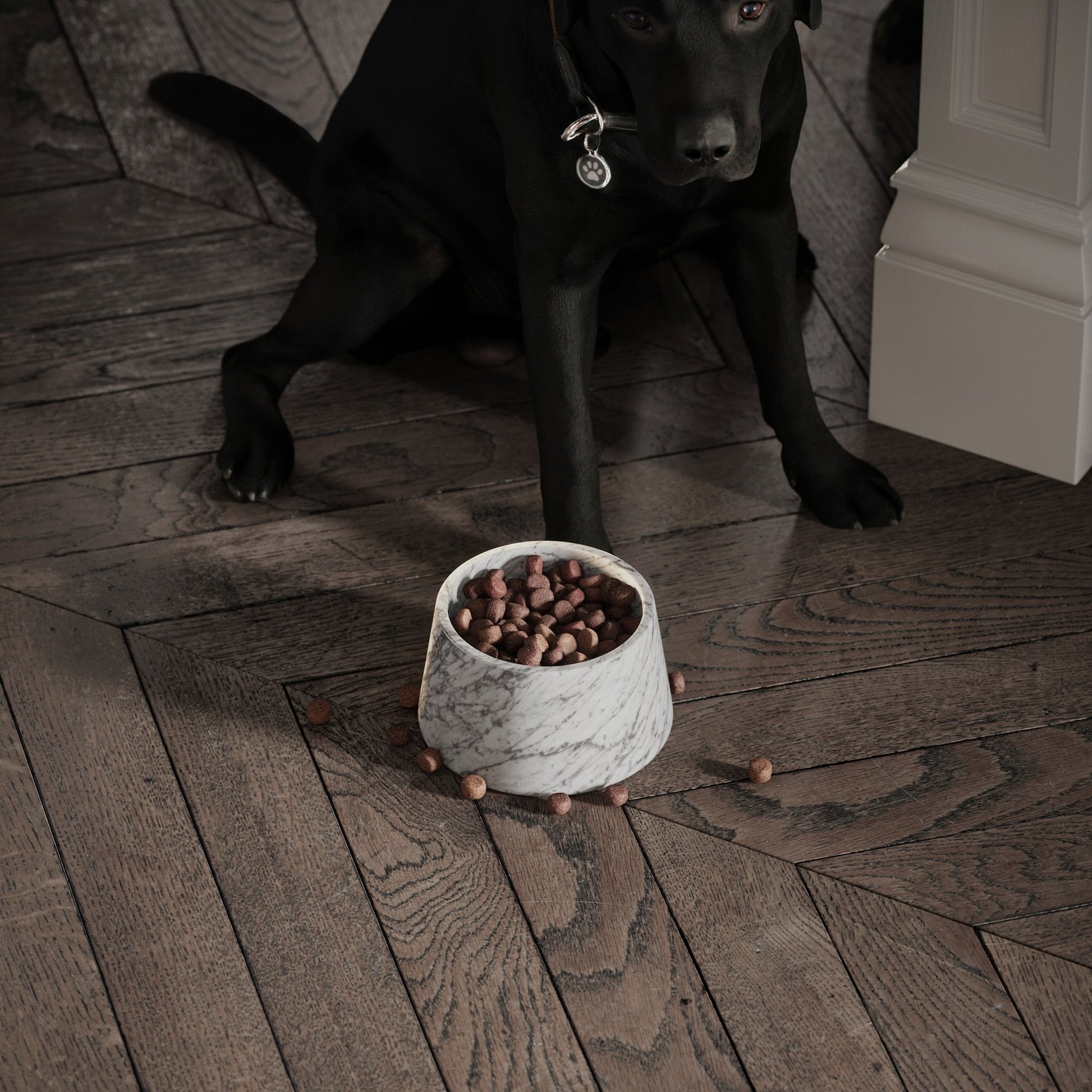 Vasoni Carrara Marble Dog Bowl