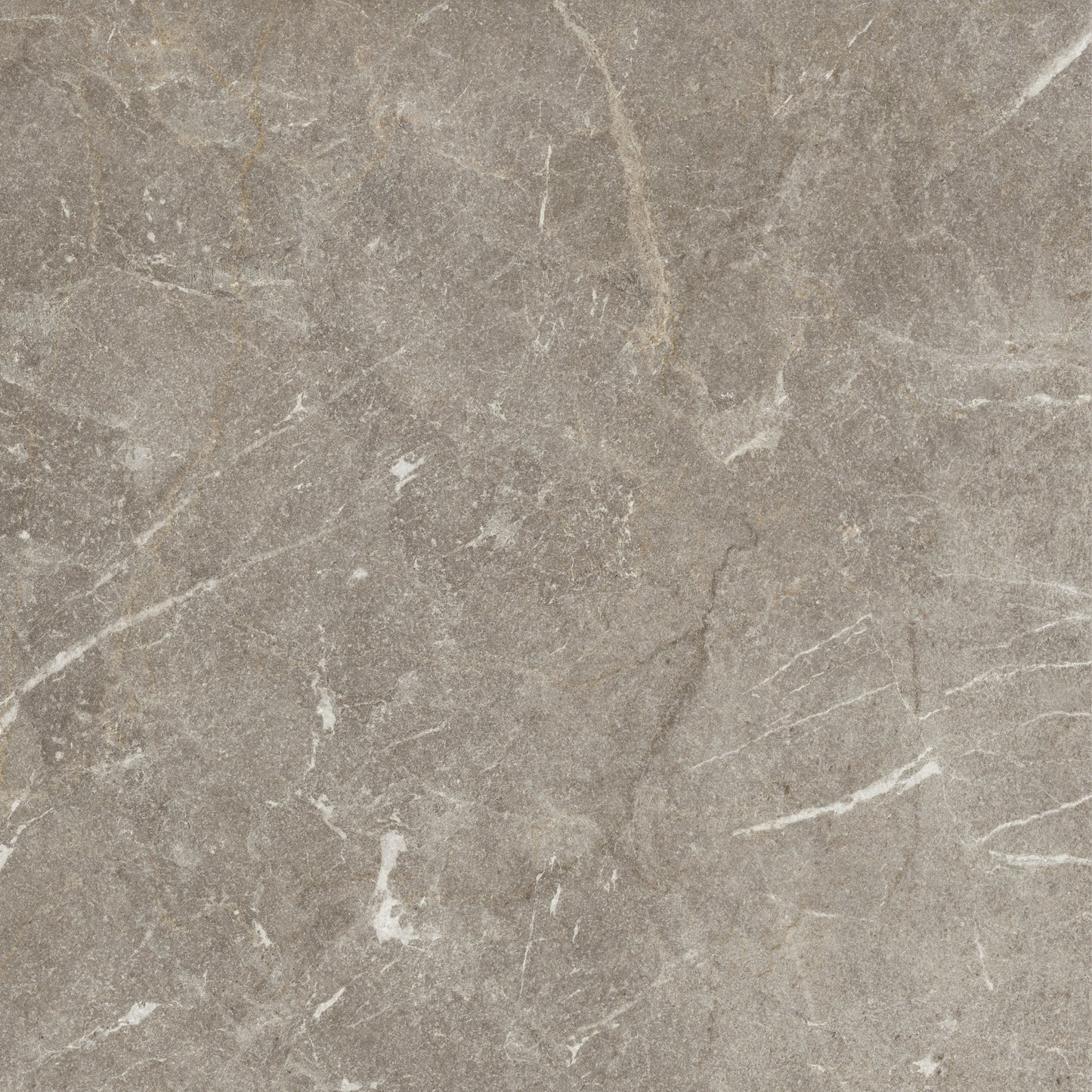 Vittorio Taupe Limestone Porcelain Sample