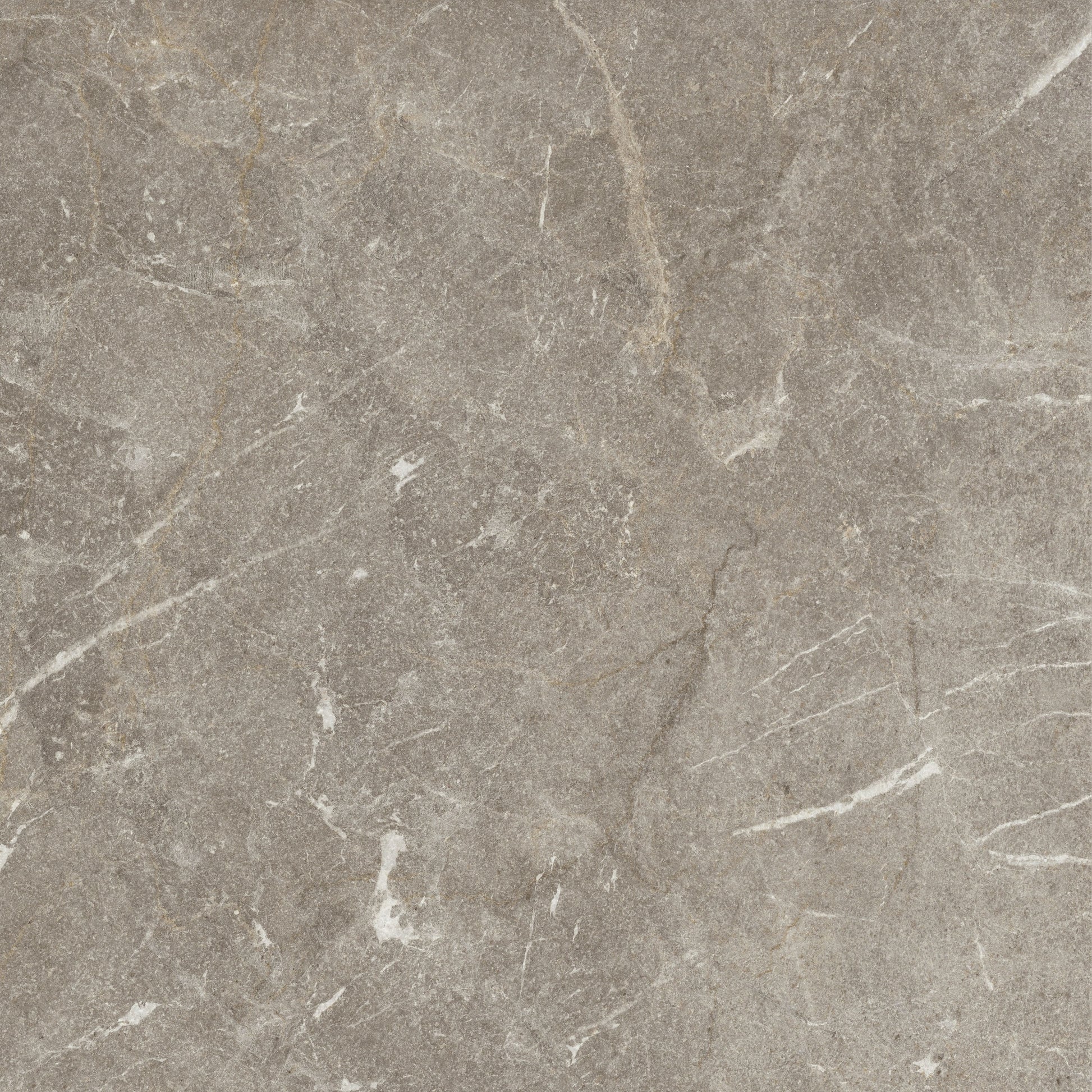 Vittorio Taupe Limestone Porcelain Sample